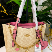 Mollie Tote Bag 25 in Signature Canvas with Charms