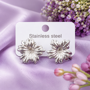 $5 Stainless Steel Earring Sale!!!
