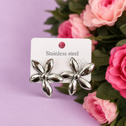 $5 Stainless Steel Earring Sale!!!